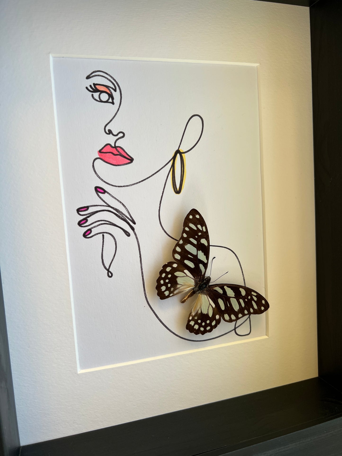 Graphium Leonidas with genuine drawing in frame