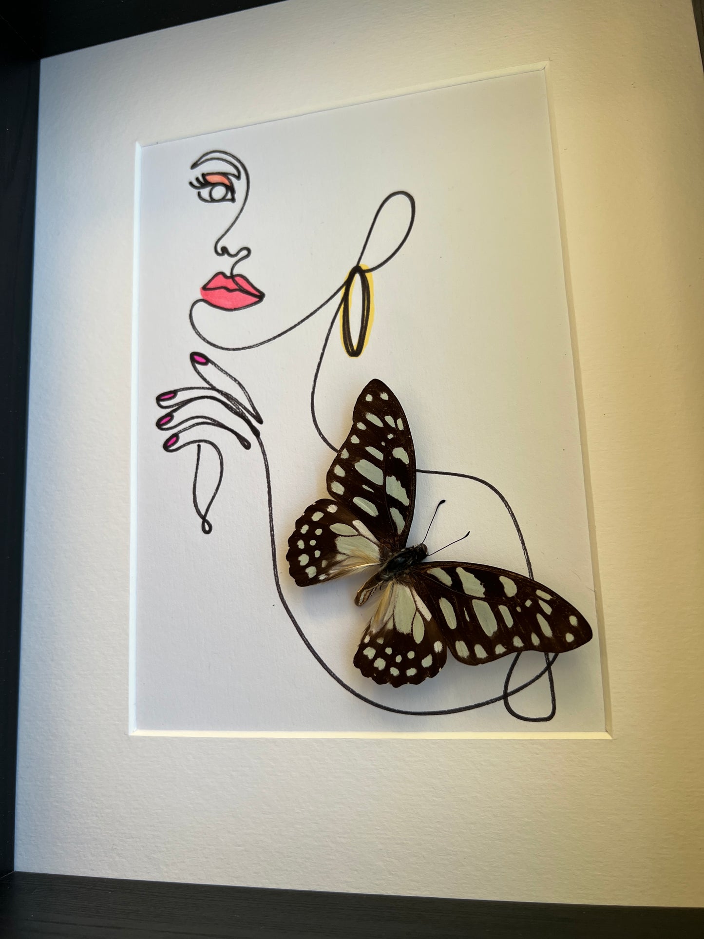 Graphium Leonidas with genuine drawing in frame