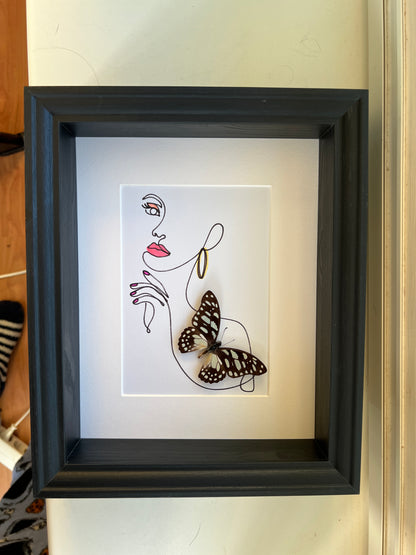 Graphium Leonidas with genuine drawing in frame
