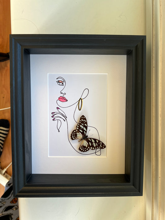 Graphium Leonidas with genuine drawing in frame