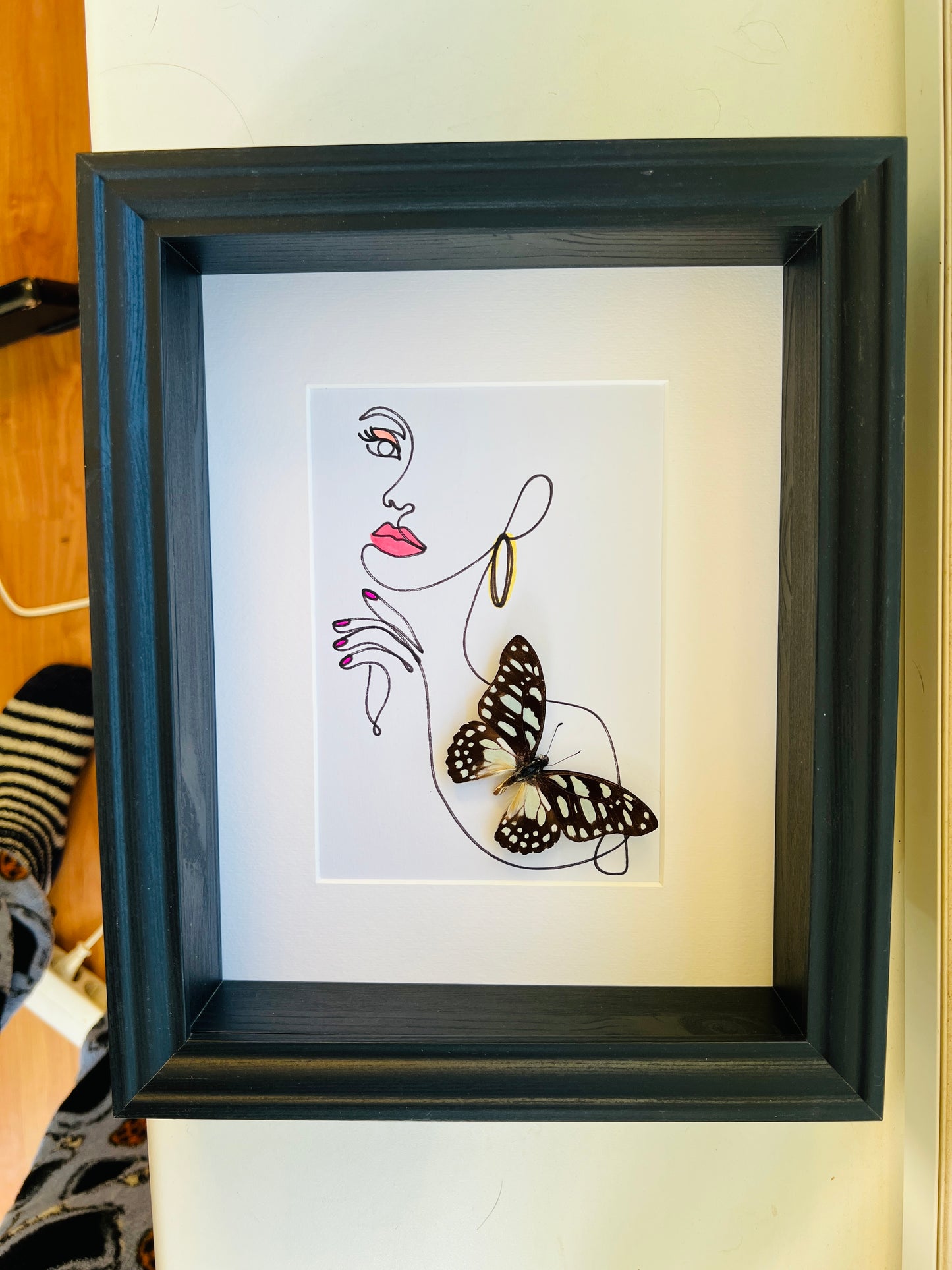 Graphium Leonidas with genuine drawing in frame