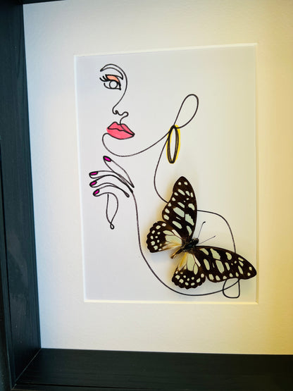 Graphium Leonidas with genuine drawing in frame