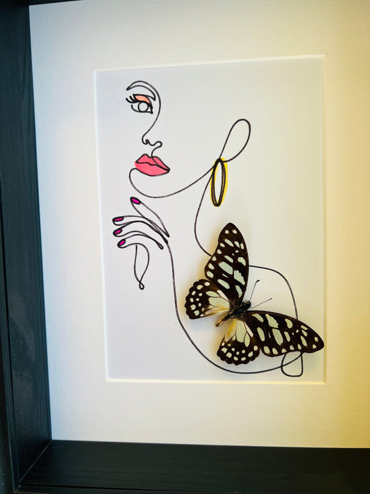 Graphium Leonidas with genuine drawing in frame