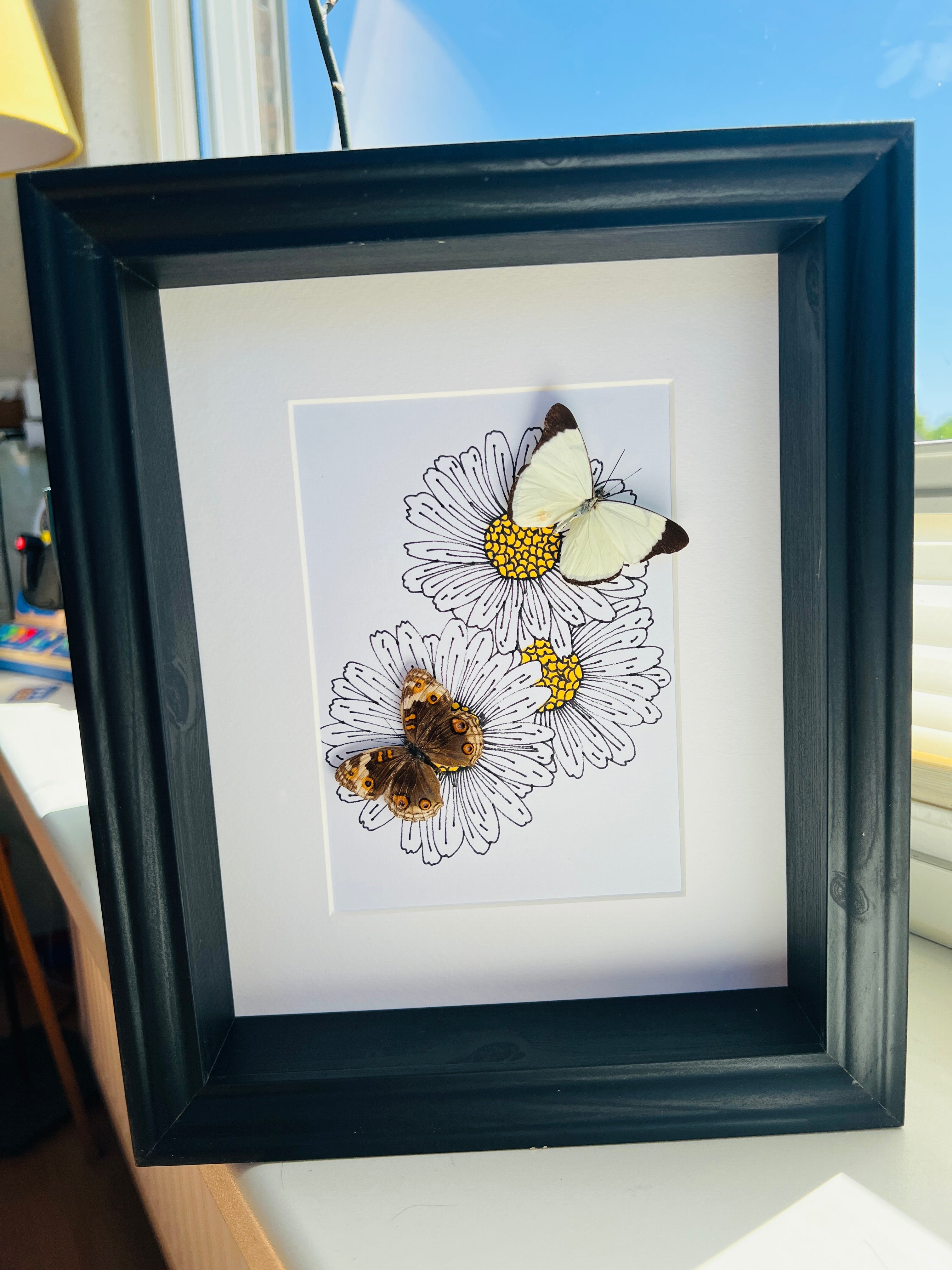 Melete en Junonia met echte tekening in lijst