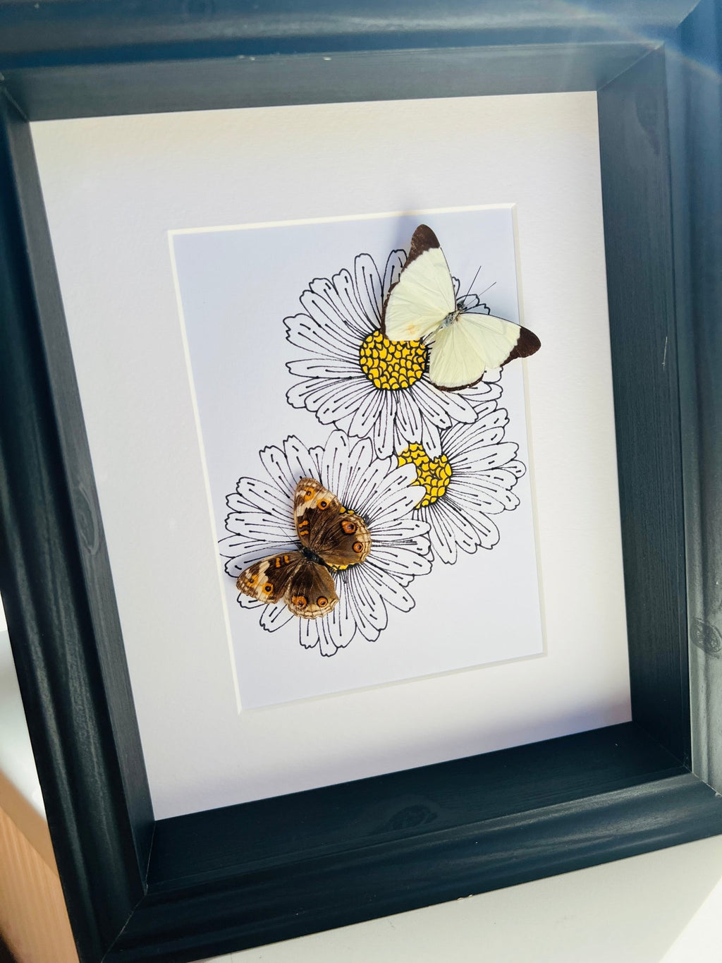 Melete und Junonia mit originaler Zeichnung in einem Rahmen von KEY LIME STORE