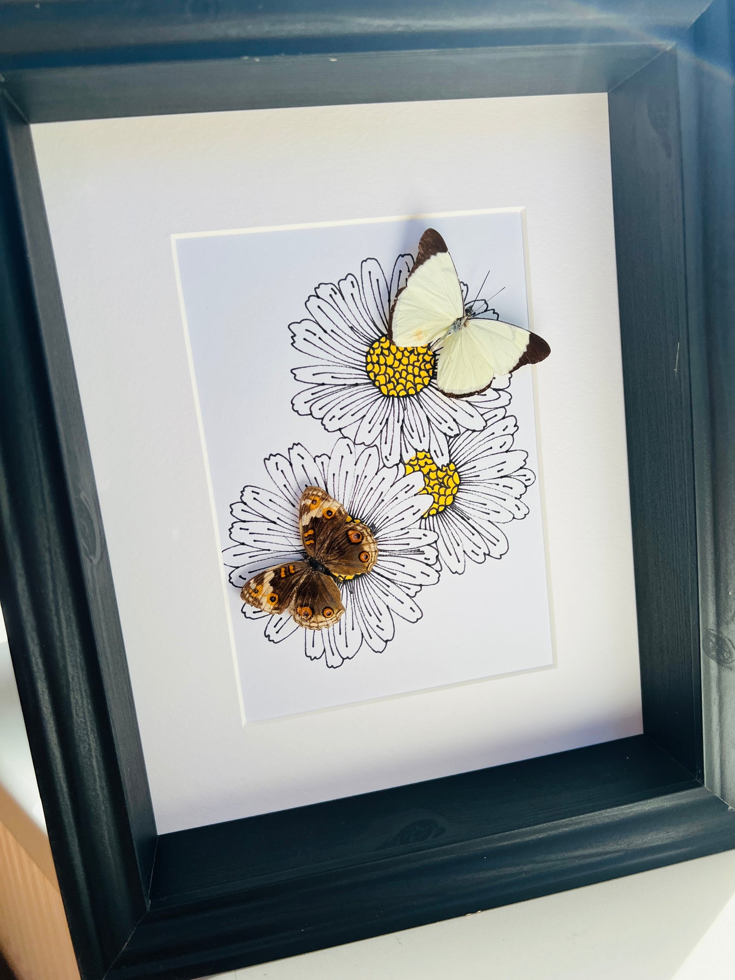 Melete en Junonia met echte tekening in lijst