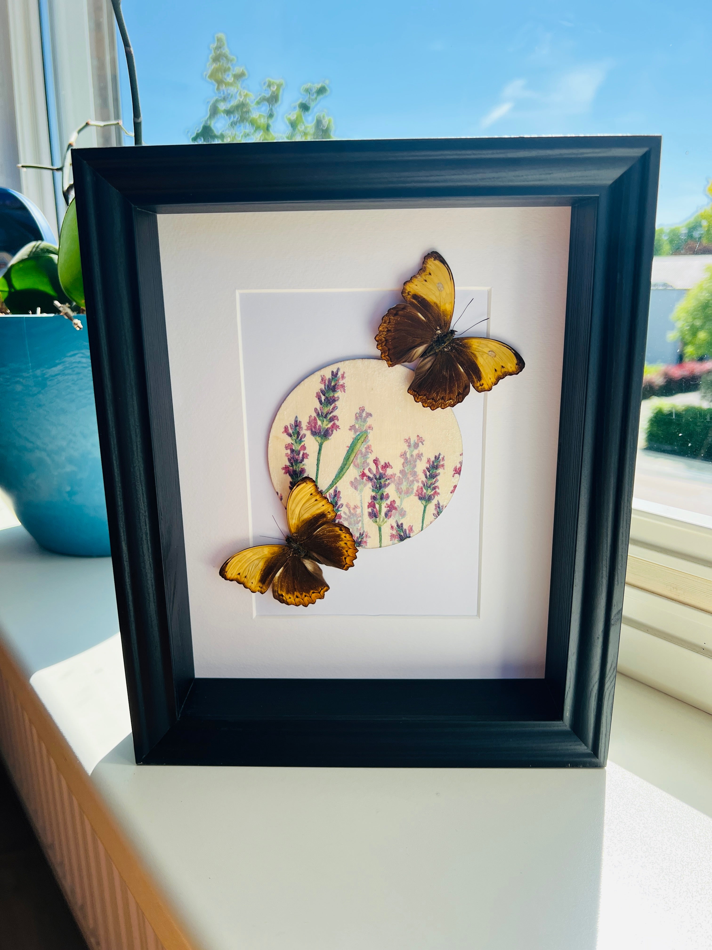 Cymothoe Haynac met bloemenprint in lijst