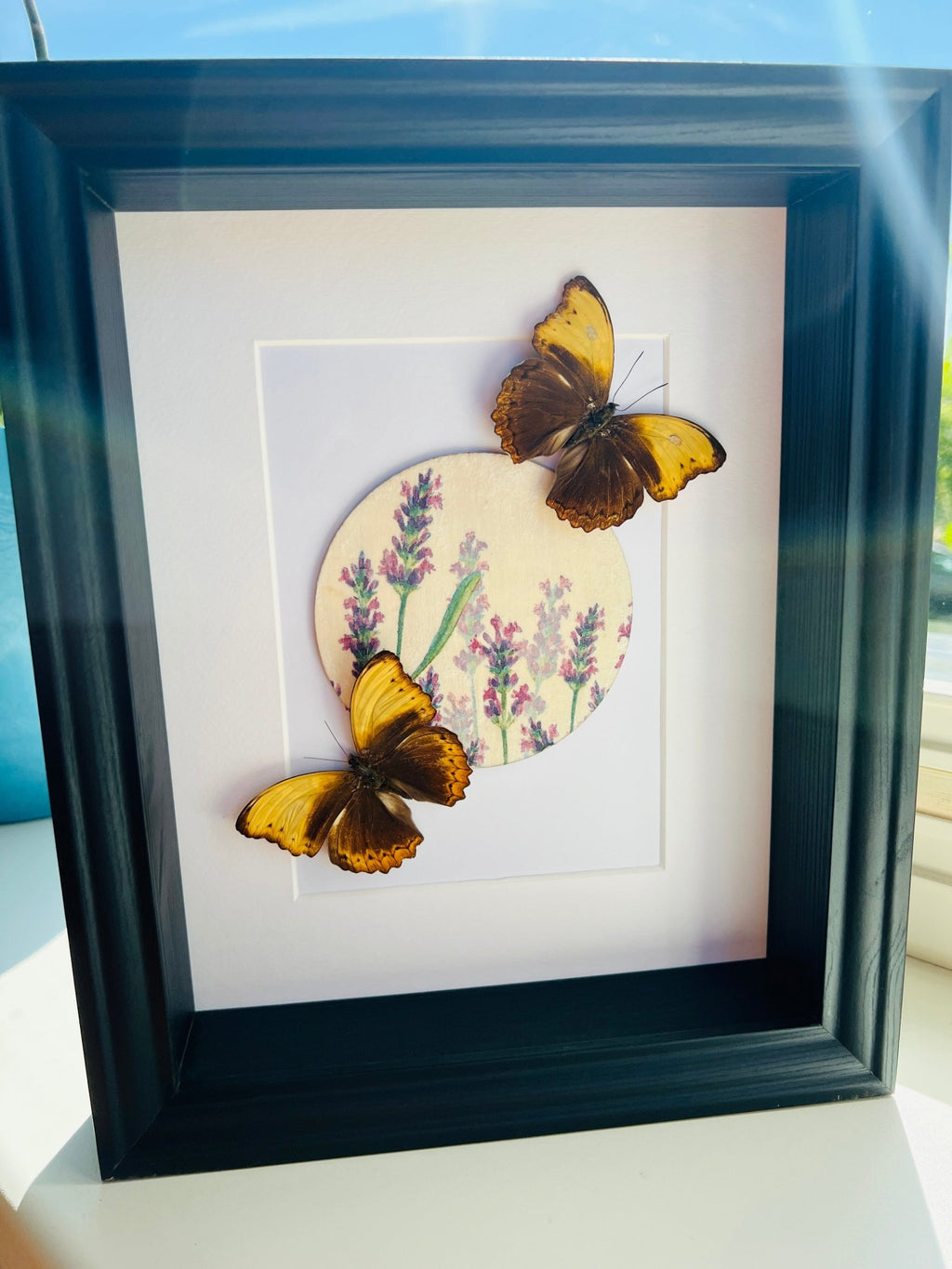 Cymothoe Haynac mit Blumenmuster in einem Rahmen von KEY LIME STORE
