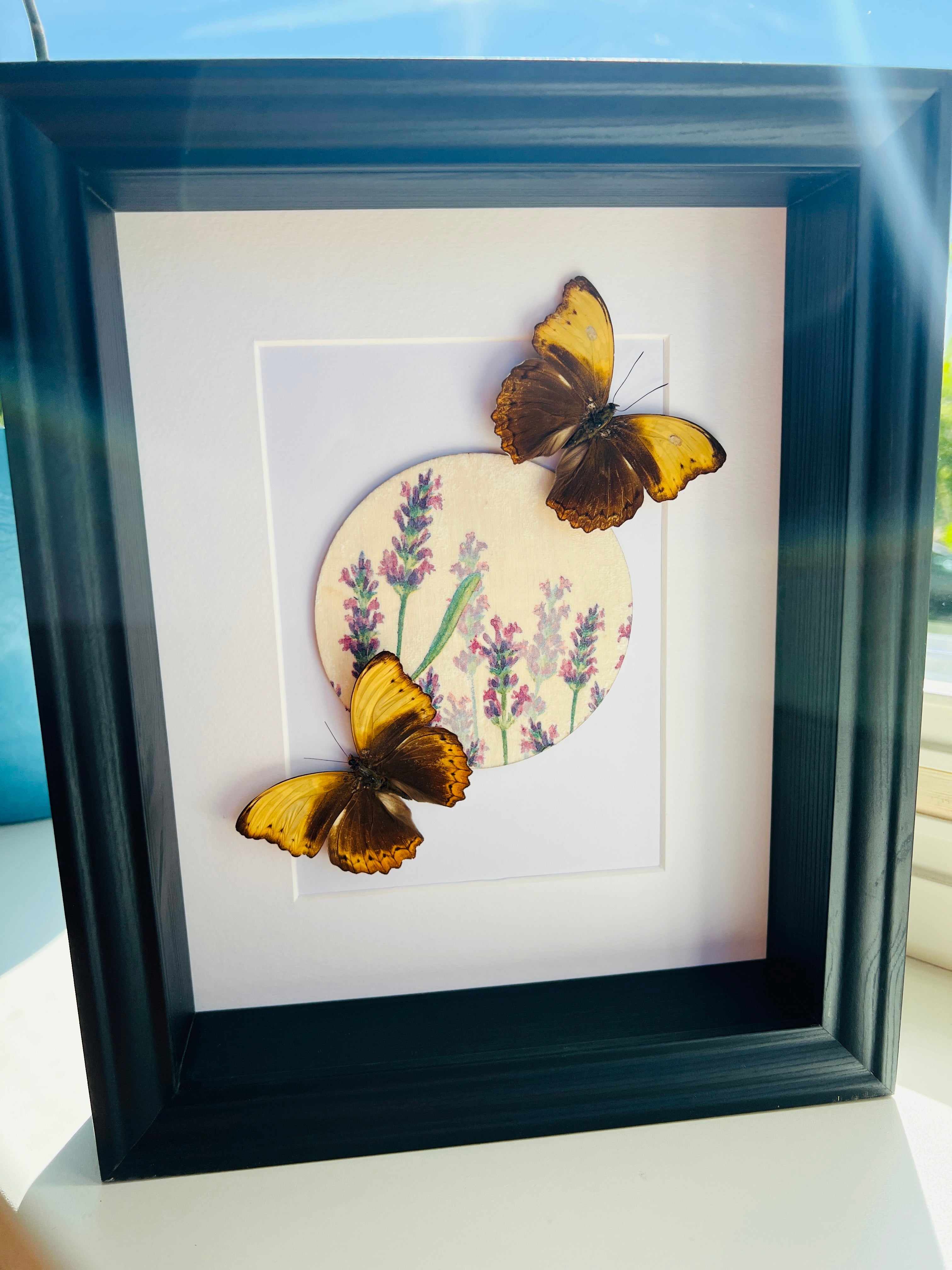 Cymothoe Haynac met bloemenprint in lijst