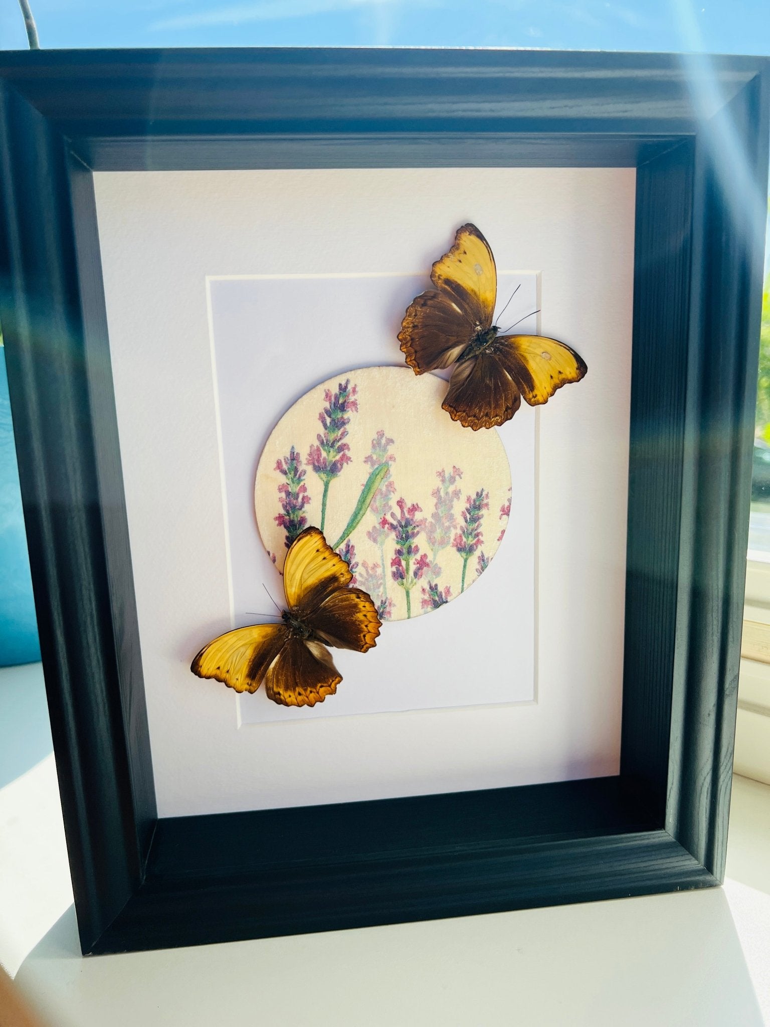 Cymothoe Haynac mit Blumenmuster in einem Rahmen von KEY LIME STORE