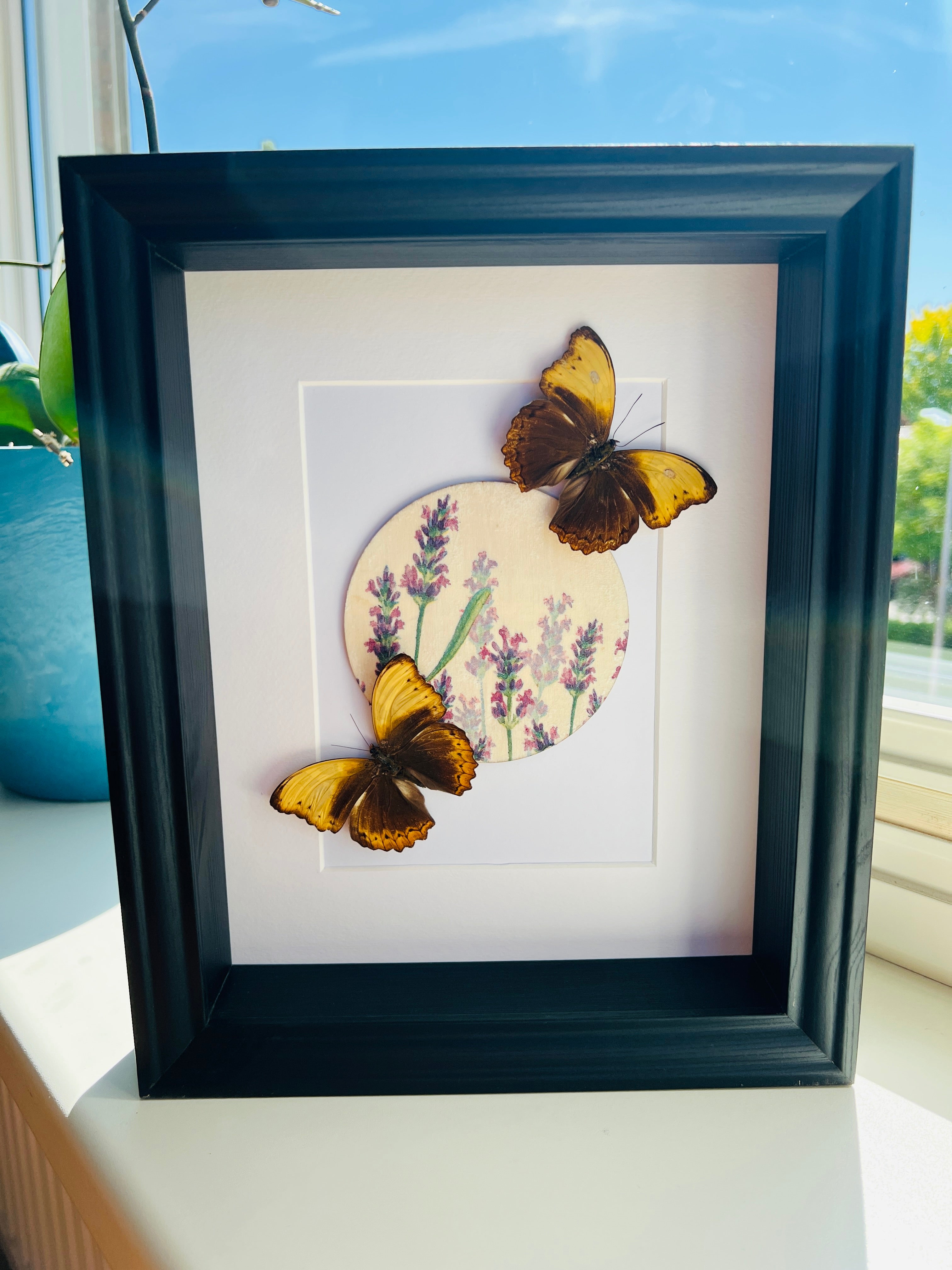 Cymothoe Haynac met bloemenprint in lijst