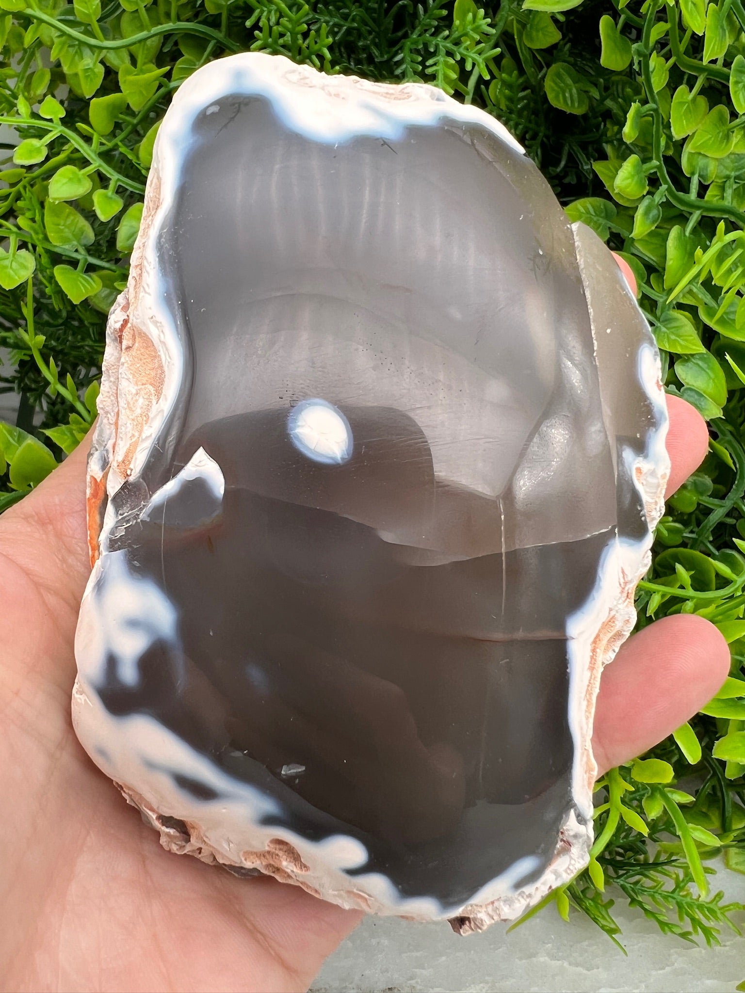 Orca Agaat half ruw half gepolijst (474 gram) by KEY LIME STORE