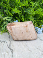 Versteend hout uit Indonesië (2760 gr/19 cm)
