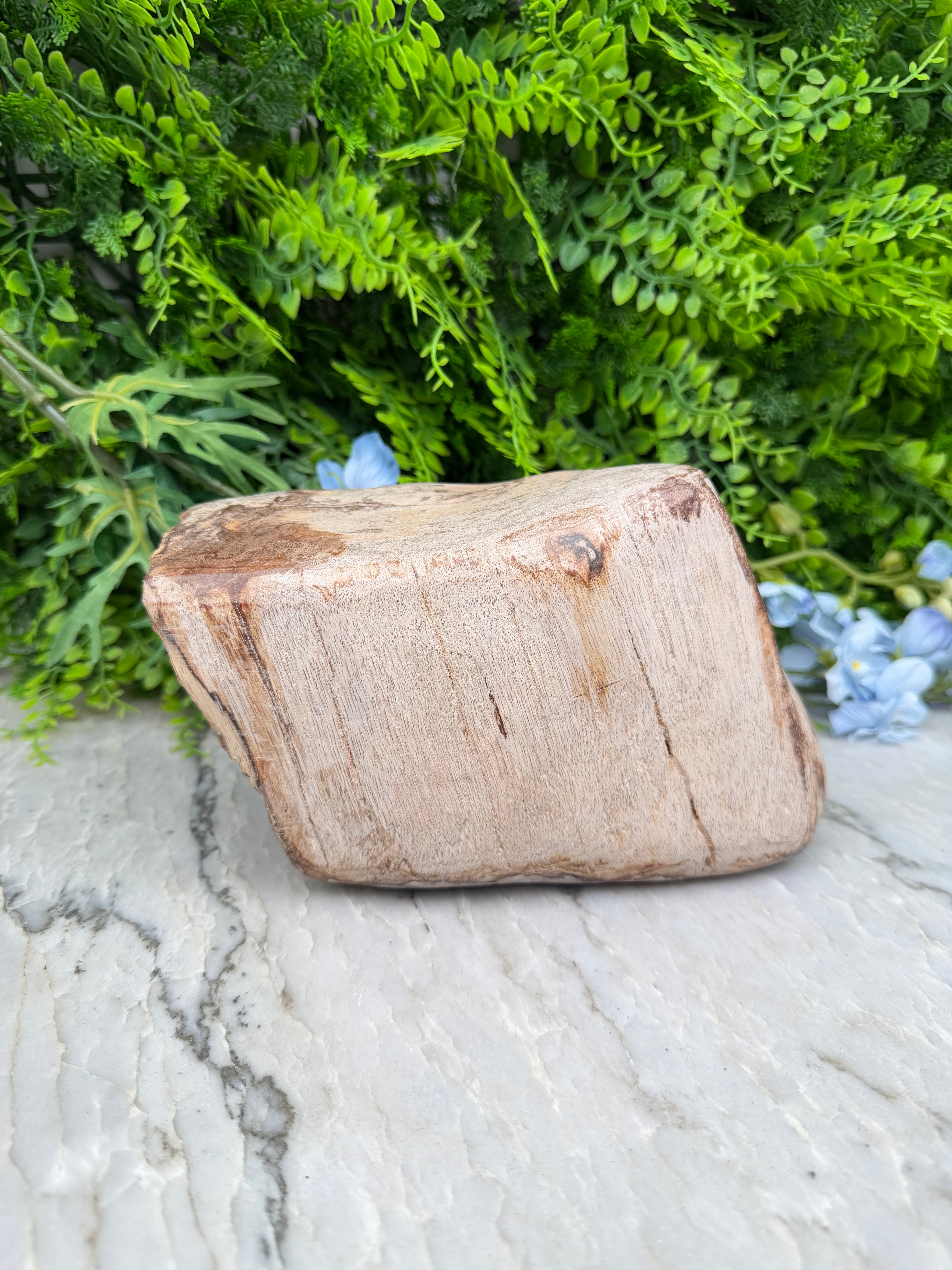 Versteend hout uit Indonesië (2760 gr/19 cm)