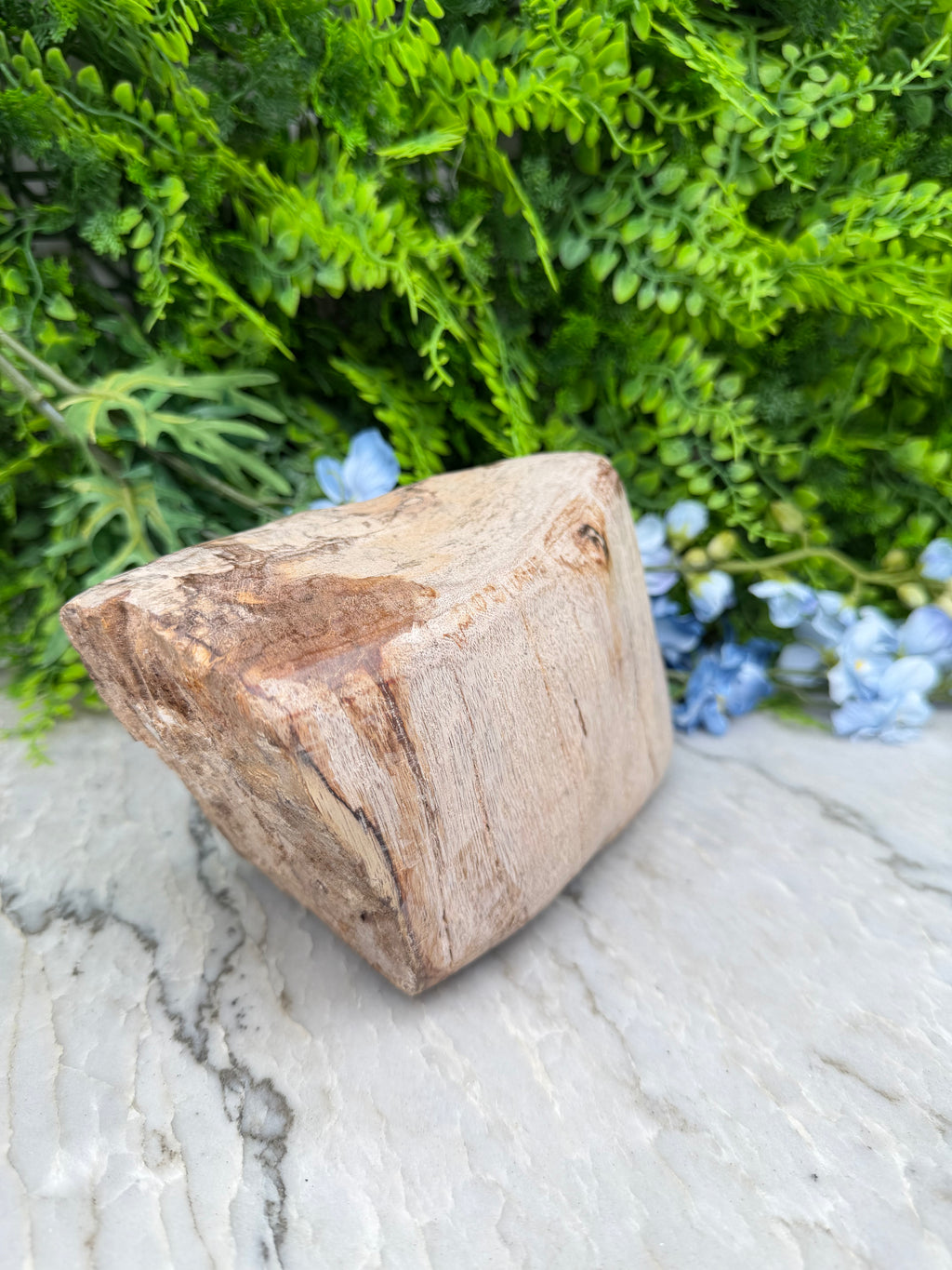 Versteend hout uit Indonesië (2760 gr/19 cm)