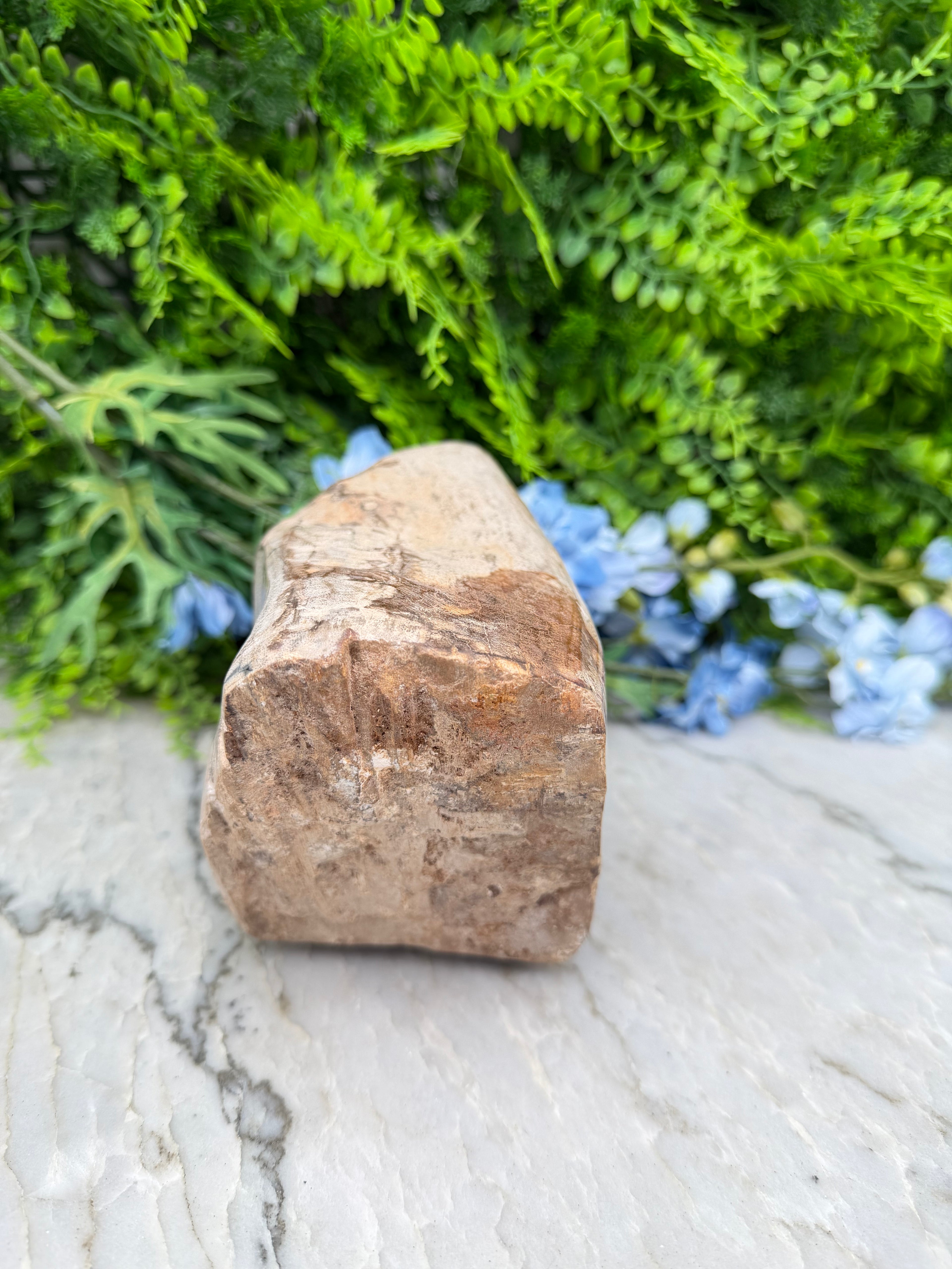 Versteend hout uit Indonesië (2760 gr/19 cm)