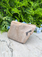 Versteend hout uit Indonesië (2760 gr/19 cm)