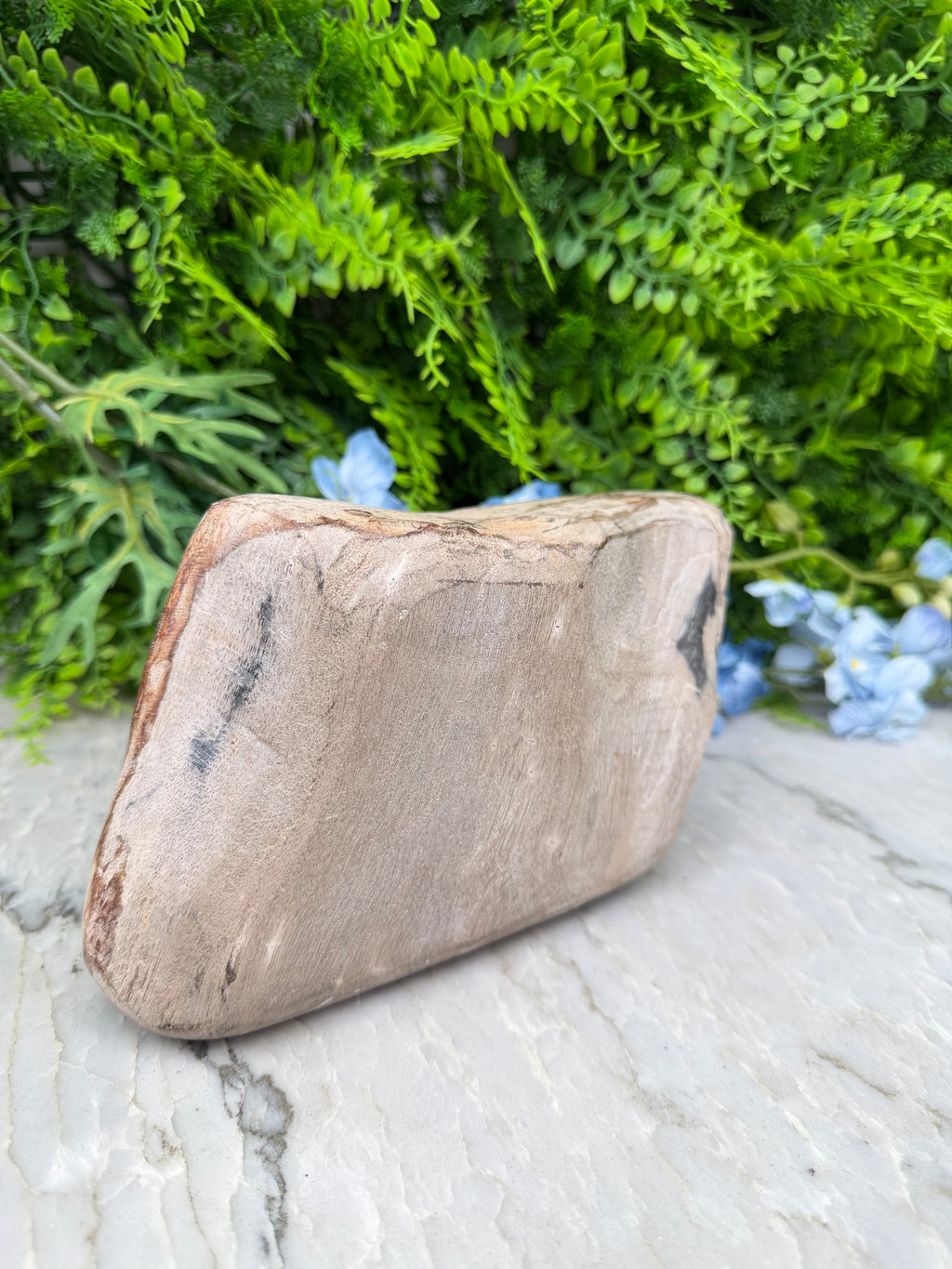 Versteend hout uit Indonesië (2760 gr/19 cm)