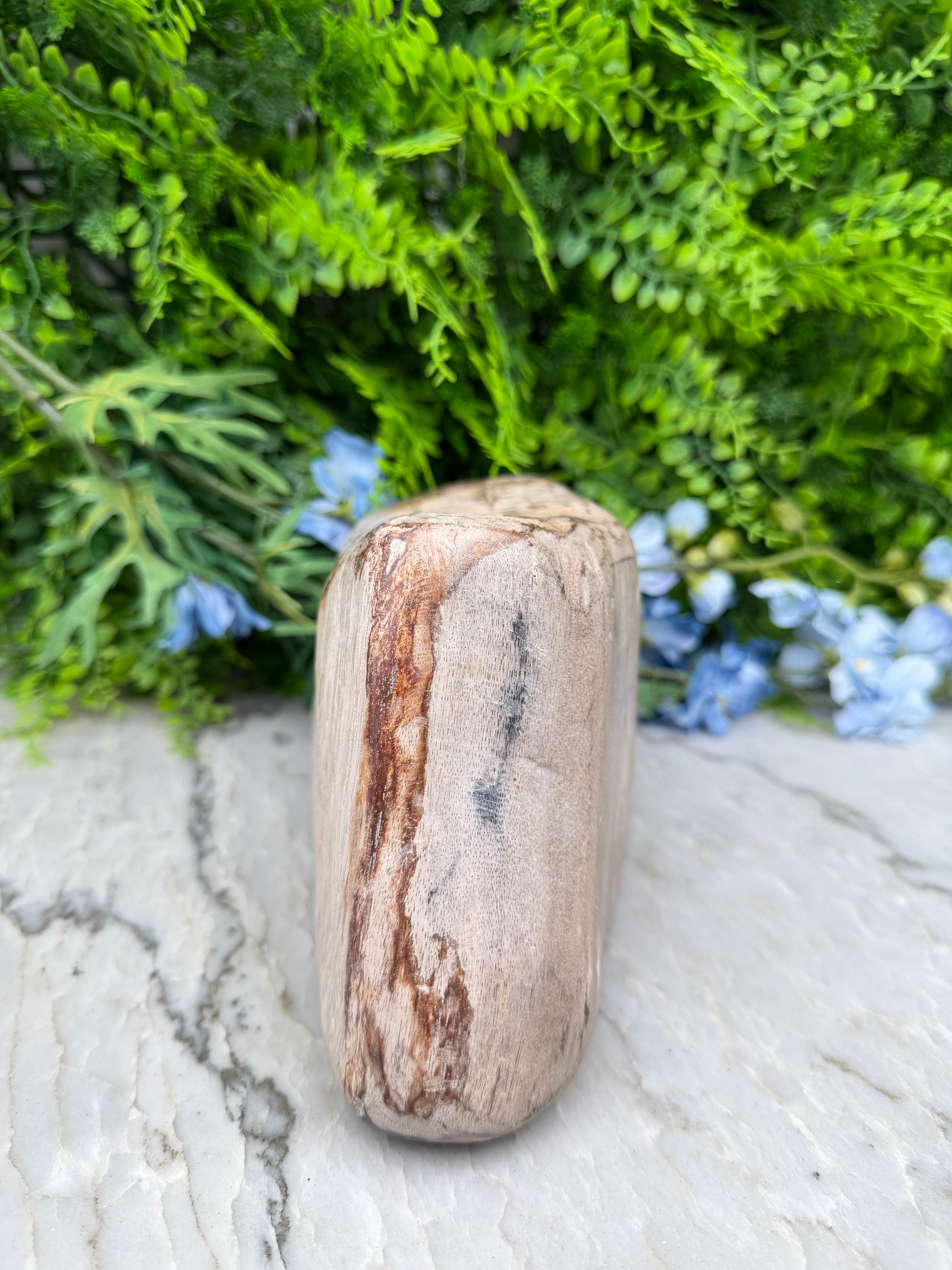 Versteend hout uit Indonesië (2760 gr/19 cm)