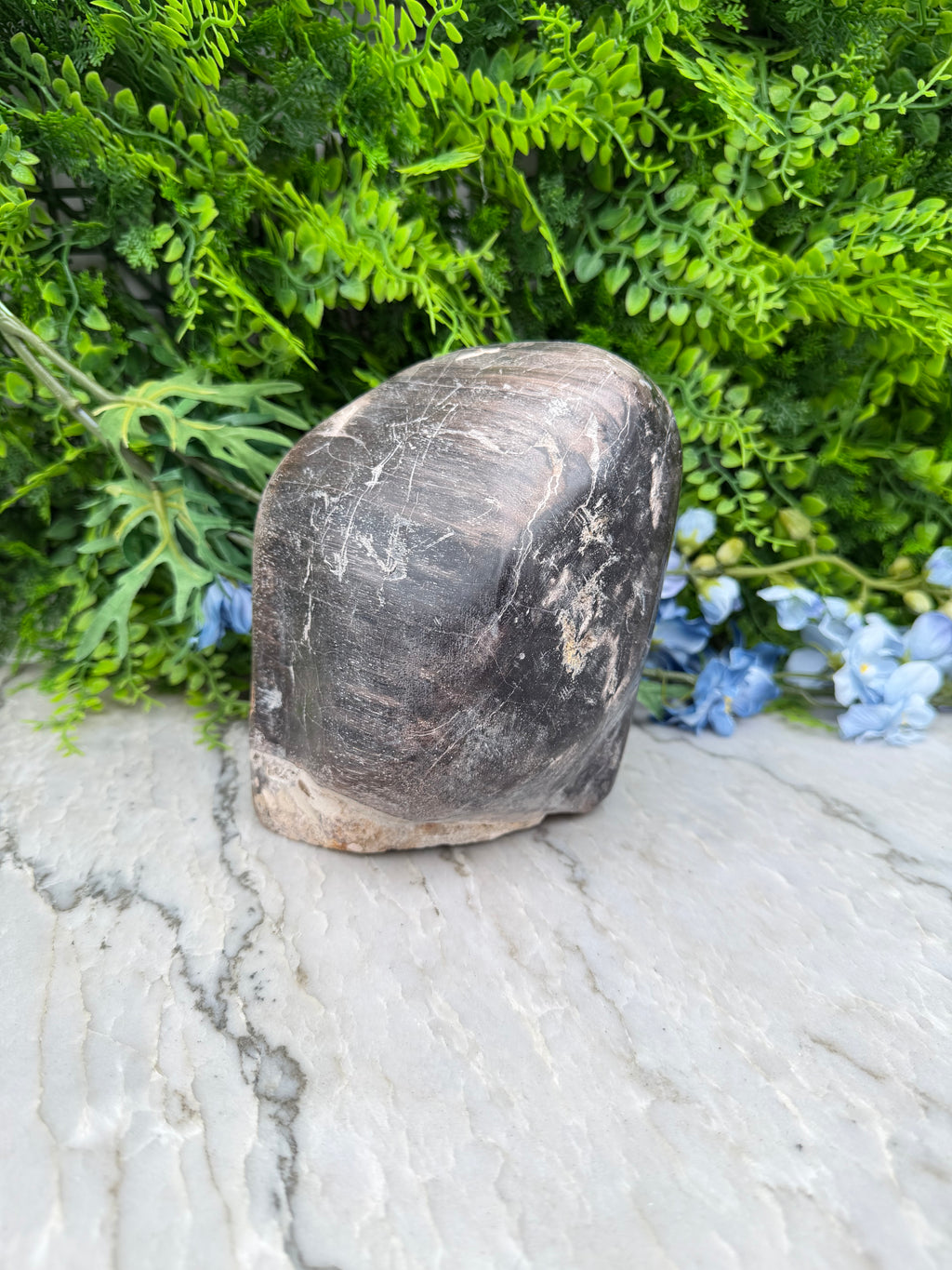 Petrified wood from Indonesia (2234 gr/15 cm)