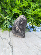 Petrified wood from Indonesia (2234 gr/15 cm)