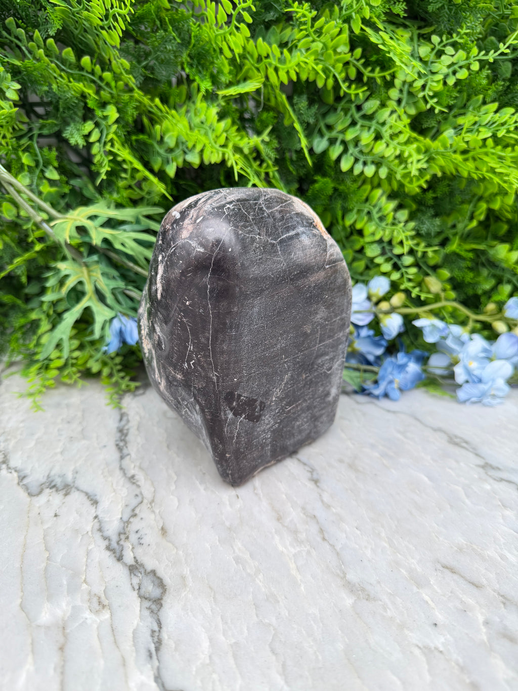 Petrified wood from Indonesia (2234 gr/15 cm)