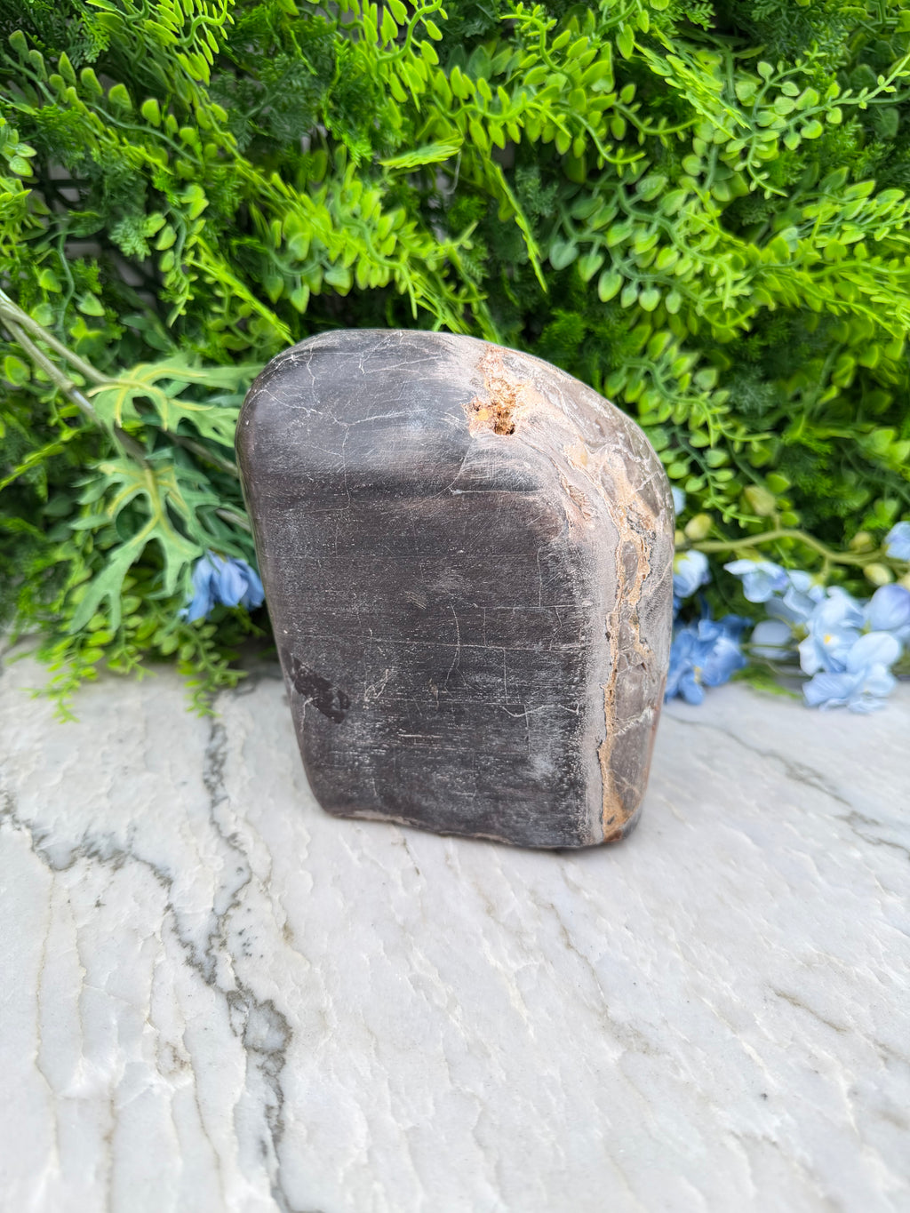 Petrified wood from Indonesia (2234 gr/15 cm)