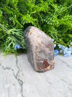 Petrified wood from Indonesia (2234 gr/15 cm)