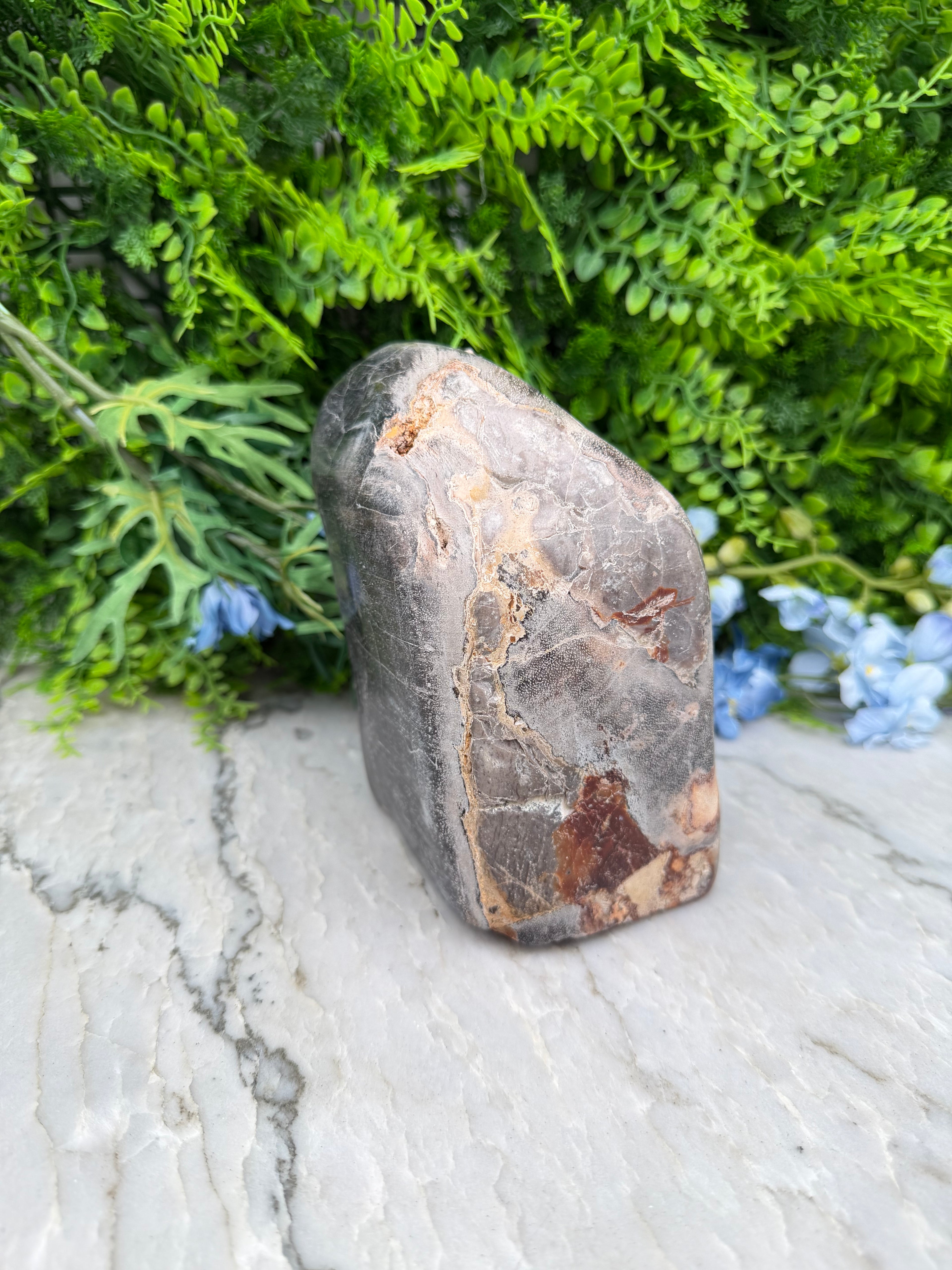 Petrified wood from Indonesia (2234 gr/15 cm)