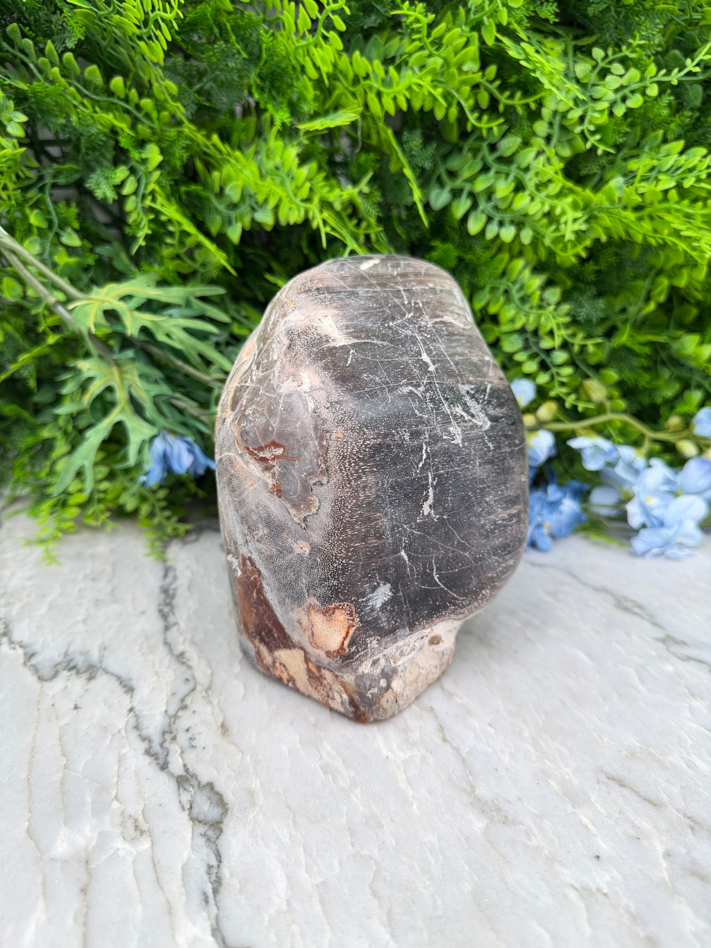 Petrified wood from Indonesia (2234 gr/15 cm)