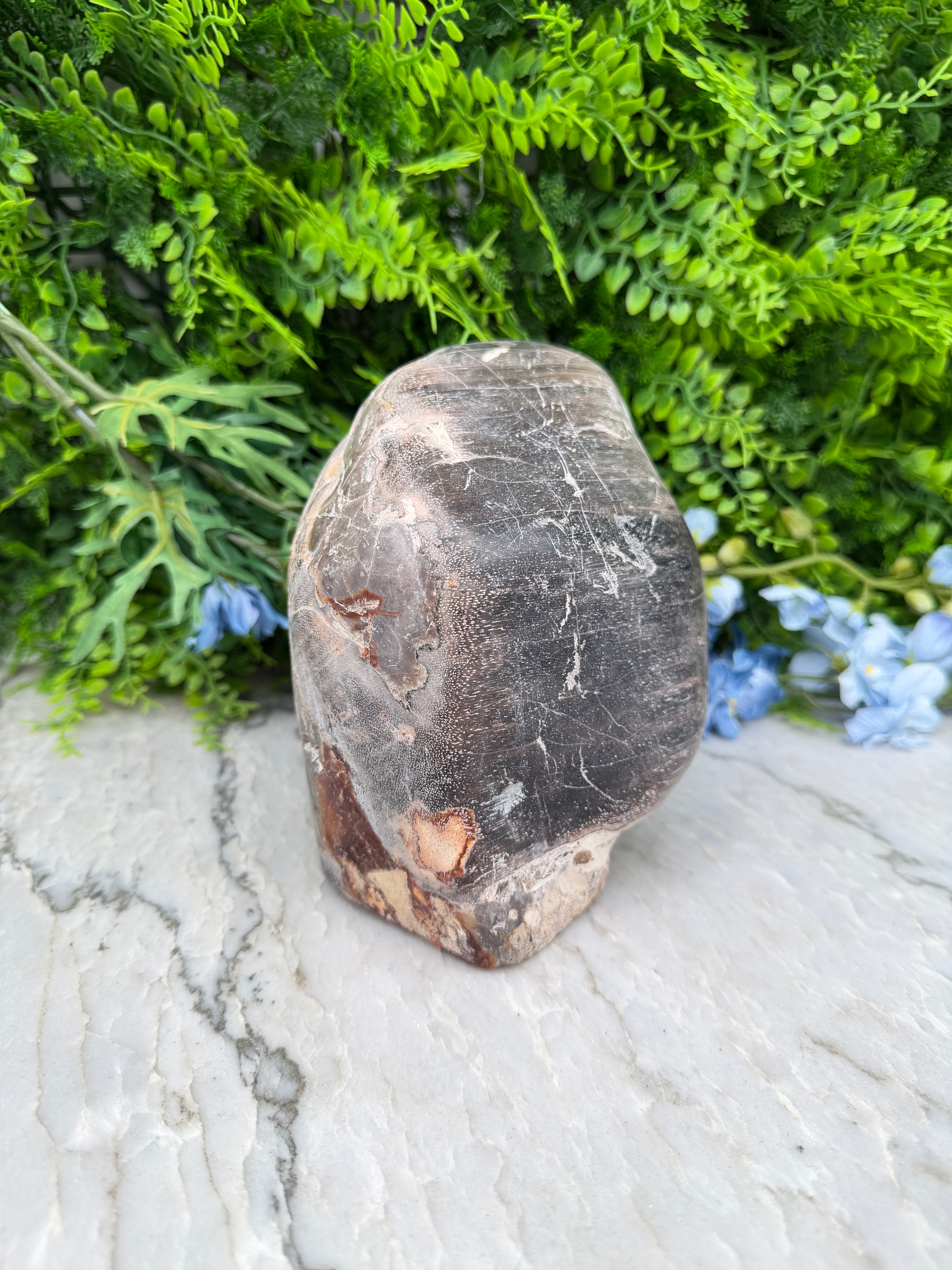 Petrified wood from Indonesia (2234 gr/15 cm)