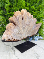 Amethist waaier dikke schijf (4718 gr/40 cm)