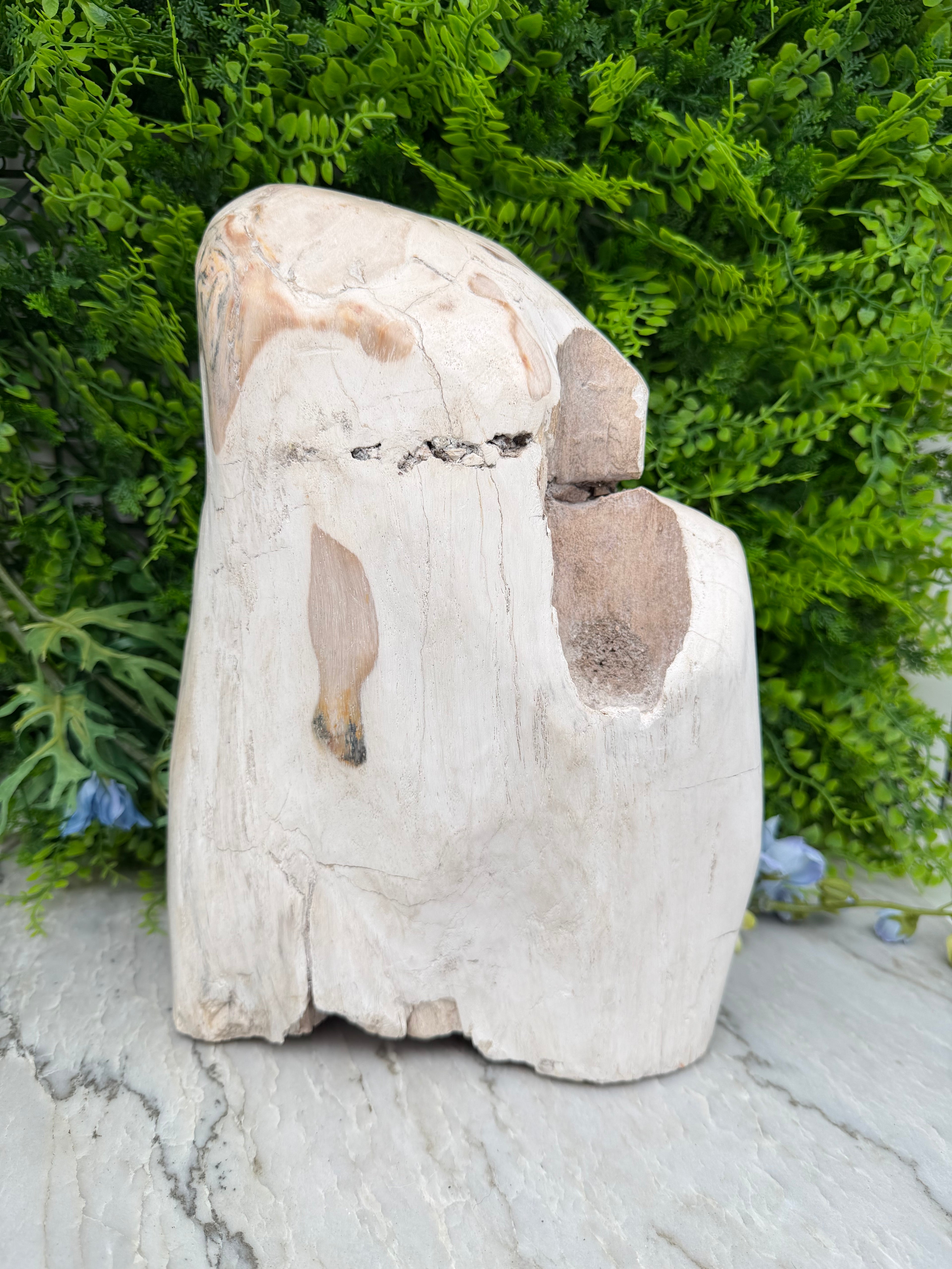 XL - Petrified wood from Indonesia (7920 gr/31 cm)