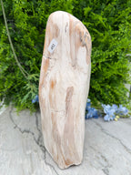 XL - Petrified wood from Indonesia (7920 gr/31 cm)