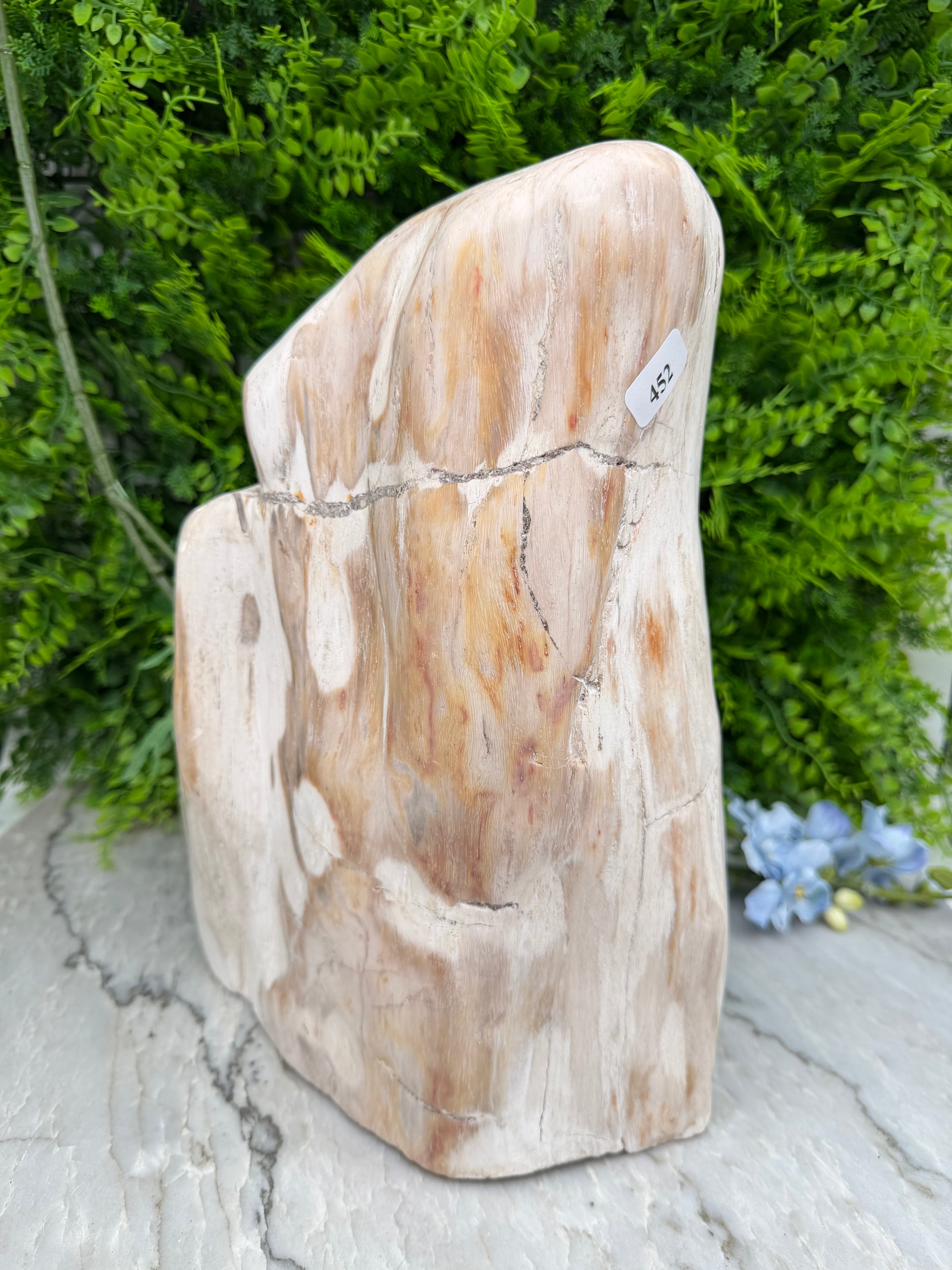 XL - Petrified wood from Indonesia (7920 gr/31 cm)