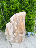 XL - Petrified wood from Indonesia (7920 gr/31 cm)