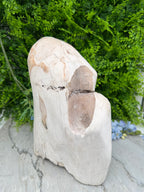 XL - Petrified wood from Indonesia (7920 gr/31 cm)