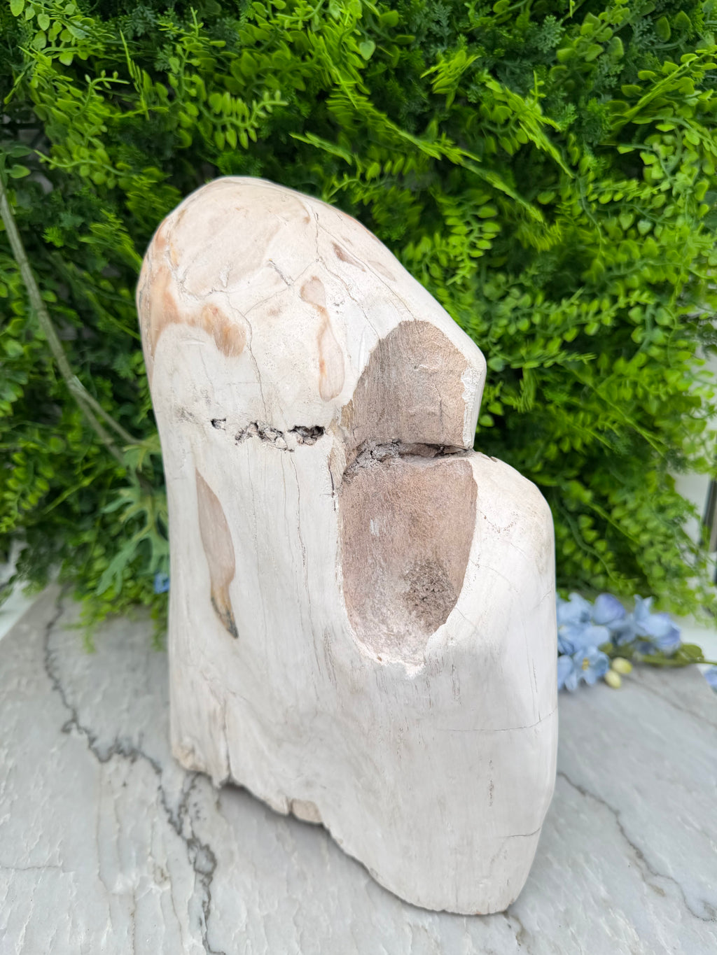 XL - Petrified wood from Indonesia (7920 gr/31 cm)