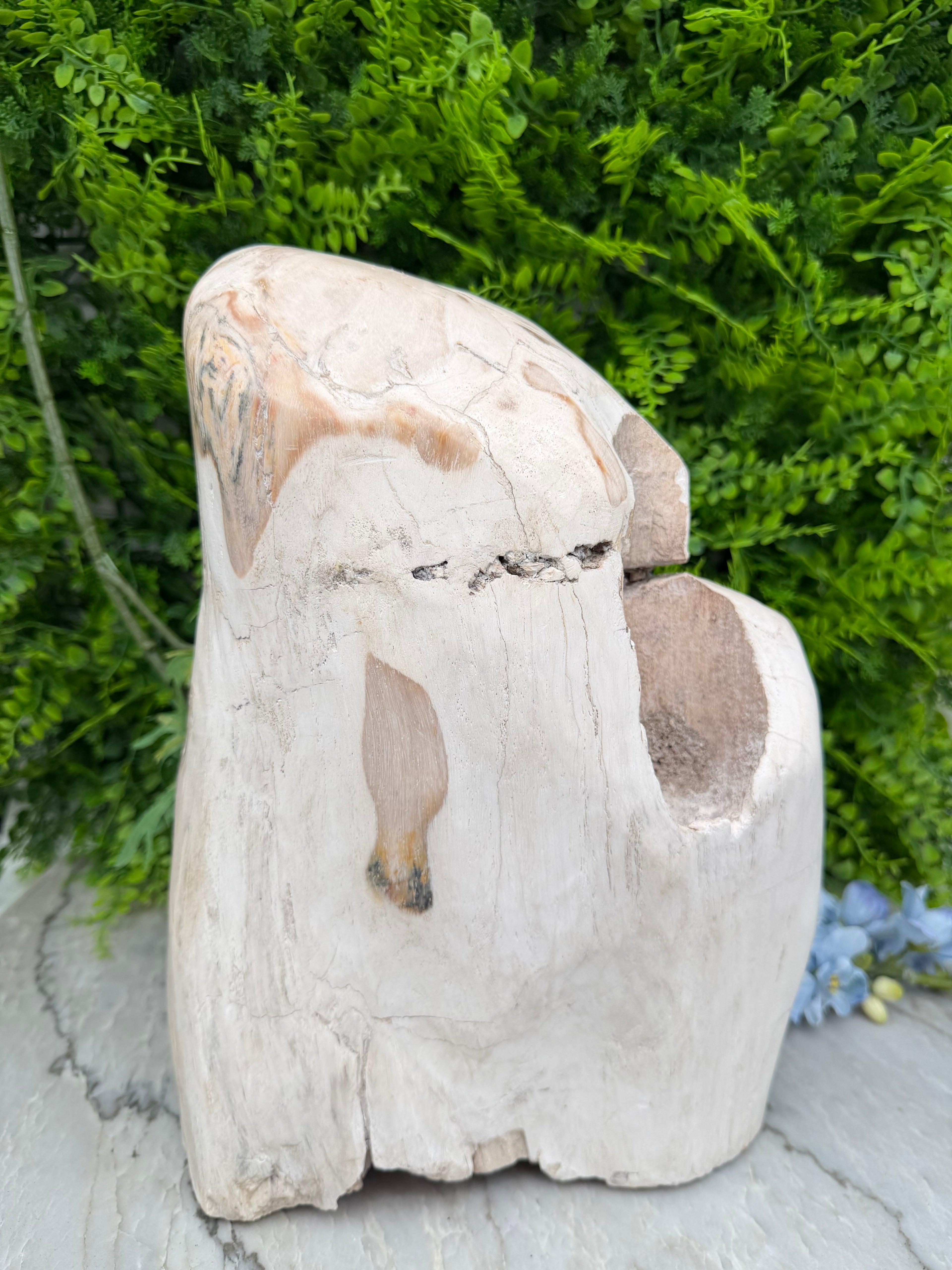 XL - Petrified wood from Indonesia (7920 gr/31 cm)