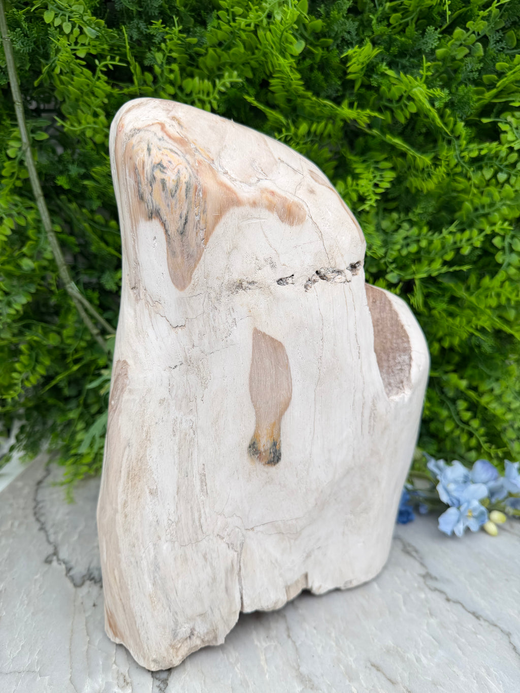 XL - Petrified wood from Indonesia (7920 gr/31 cm)