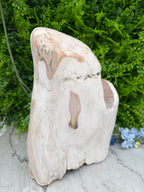 XL - Petrified wood from Indonesia (7920 gr/31 cm)