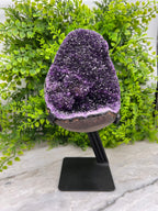 Amethist cluster op standaard by KEY LIME STORE