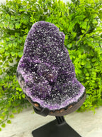 Amethist cluster op standaard by KEY LIME STORE