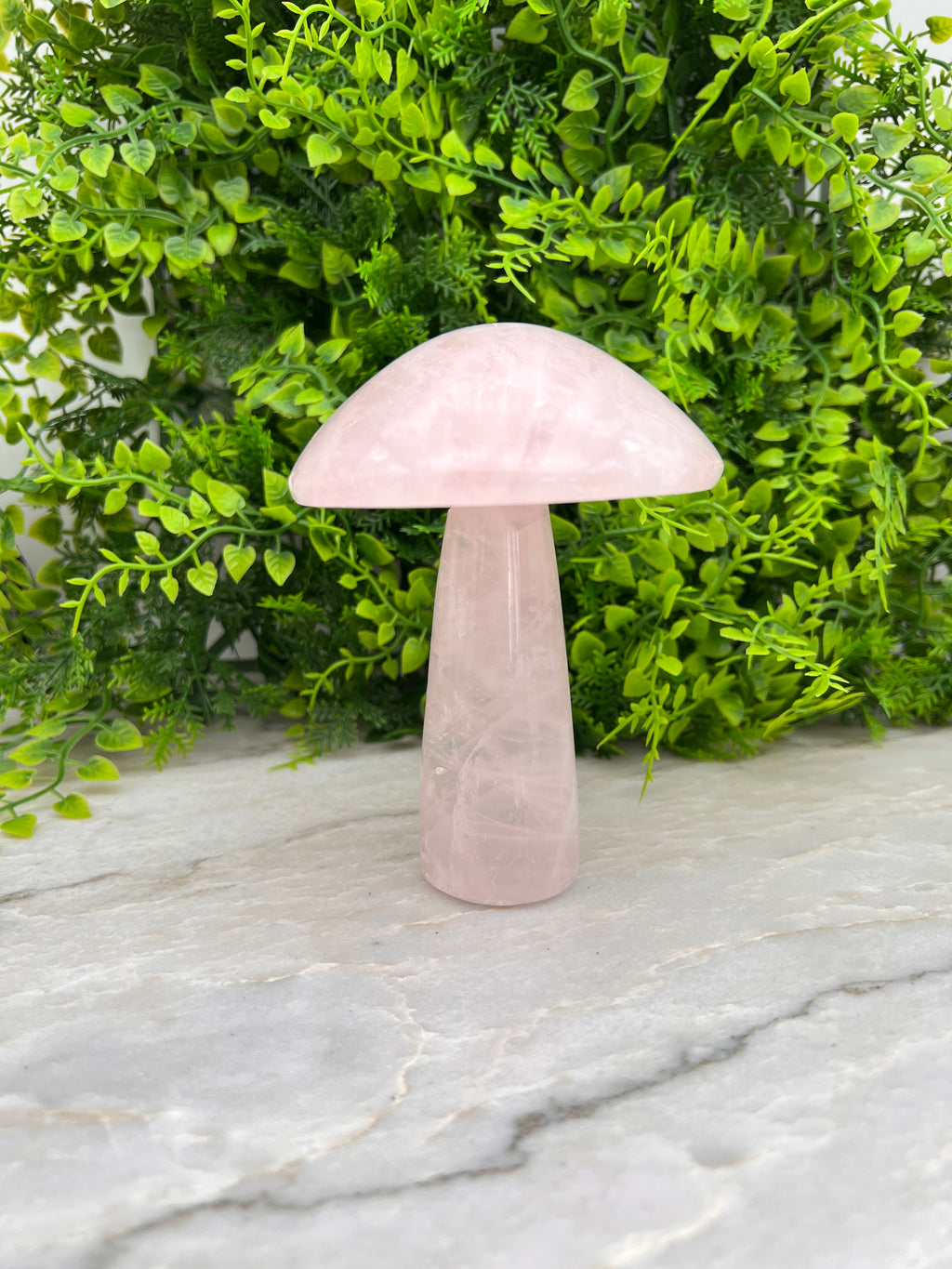 Rozenkwarts paddenstoel XL