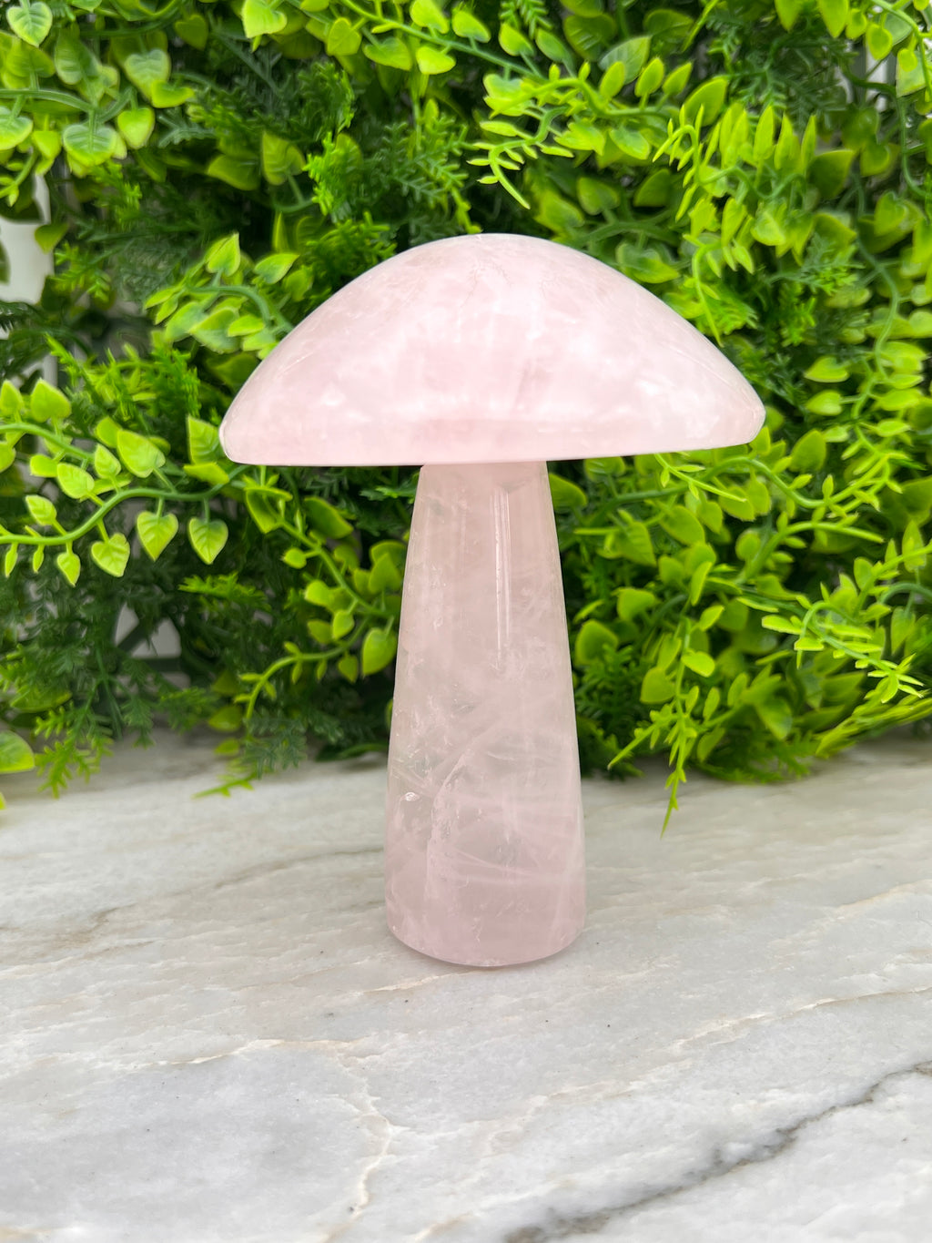 Rozenkwarts paddenstoel XL
