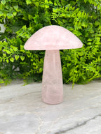 Rozenkwarts paddenstoel XL