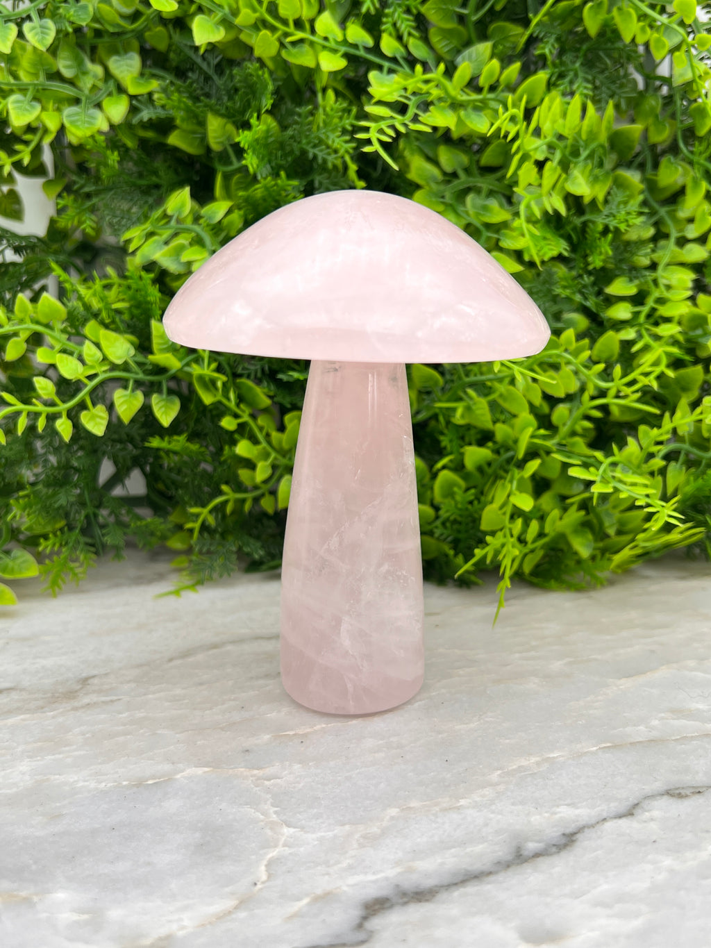 Rozenkwarts paddenstoel XL