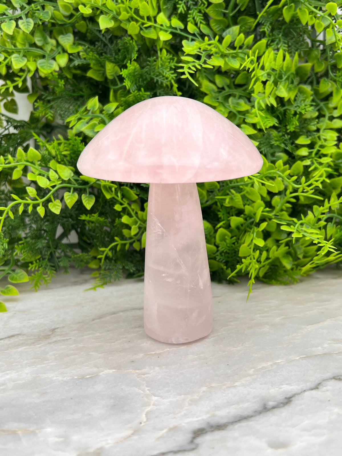 Rozenkwarts paddenstoel XL
