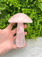 Rozenkwarts paddenstoel XL