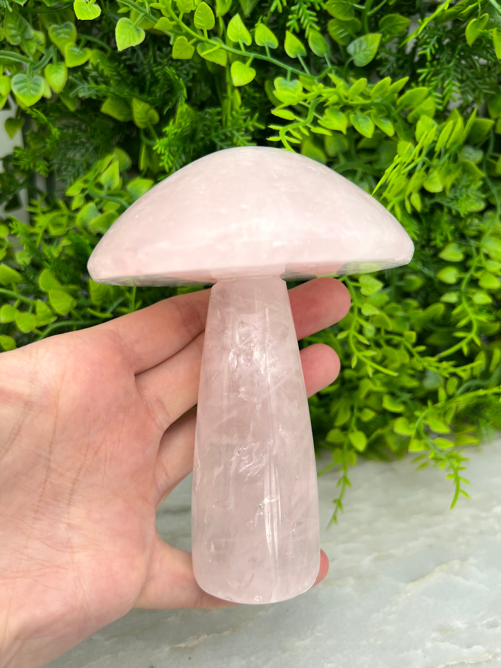 Rozenkwarts paddenstoel XL